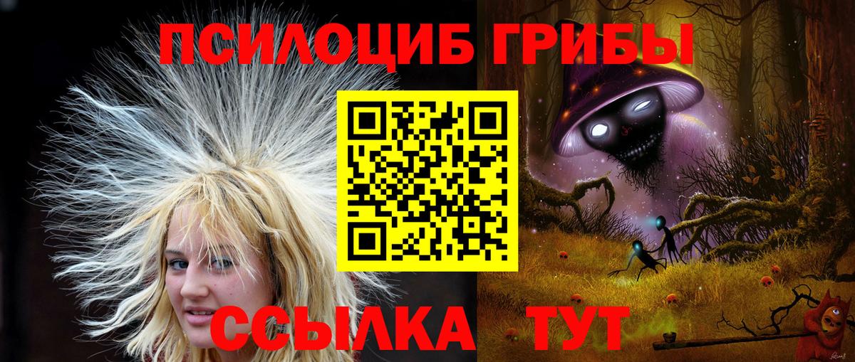 Псилоцибиновые грибы Psilocybine cubensis  Вход с VPN  Кимры 